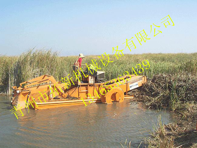 芦苇收割船