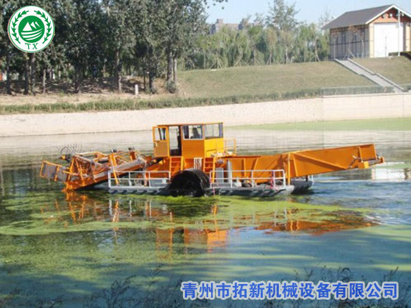 销往河南割草船【工作视频】